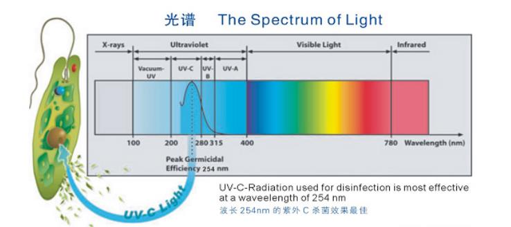 紫外線(xiàn)殺 菌原理